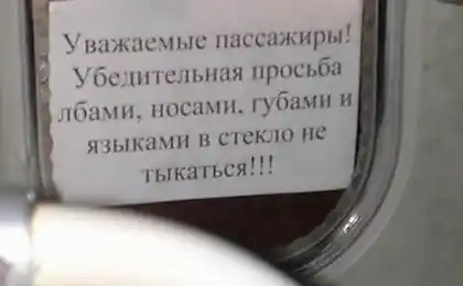 Найпопулярніші оголошення
