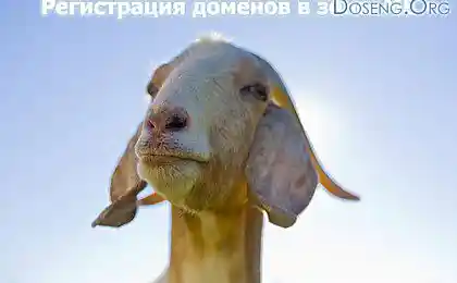 Юмор в стиле SEO в картинках