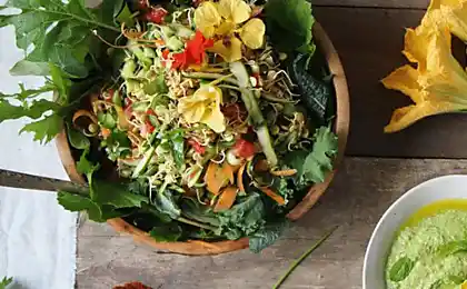 De nutrientes comida es la manera más barata de la lucha contra el envejecimiento