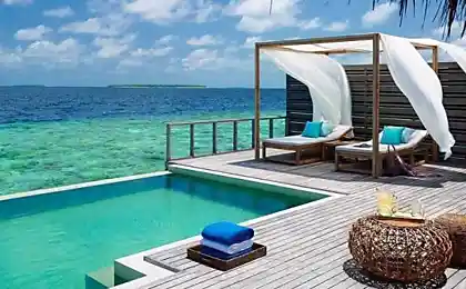 Роскошный отель Дусит Тани Мальдивз (Dusit Thani Maldives) находится в районе атолла Баа. ...