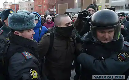 ДиМОН?