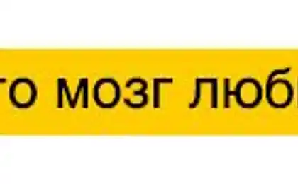 Що любить мозок і що вона капелюхи