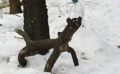 Супер дворик