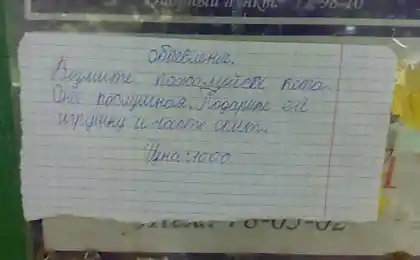 Возьмите кота