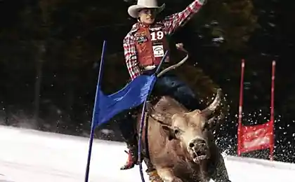 Новые виды спорта