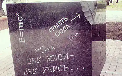 Грызем гранит науки