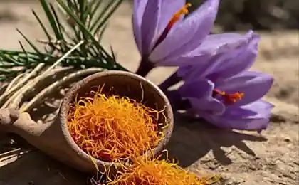 Saffron para la salud emocional