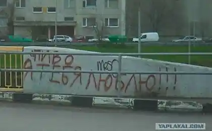 Настоящая любовь. Вот она!