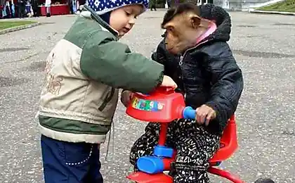 Одолжил тачку