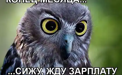 Конец месяца: сижу, жду зарплату!