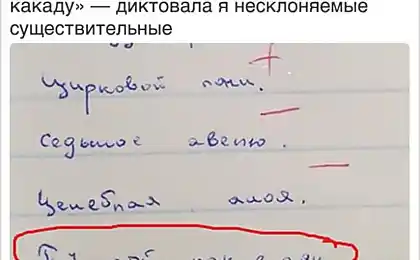 14 niños que han sido смышленее de sus maestros