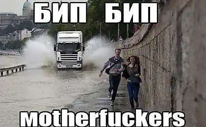 Виброхвост