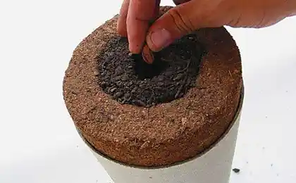 7不寻常的方式去另一个世界