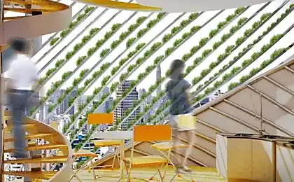 Edificio de parásitos como ecológico tendencia: apartamento de la colmena en bangkok