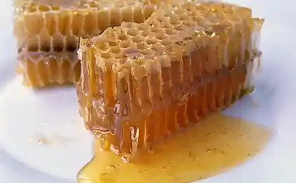 Пчелы и мёд