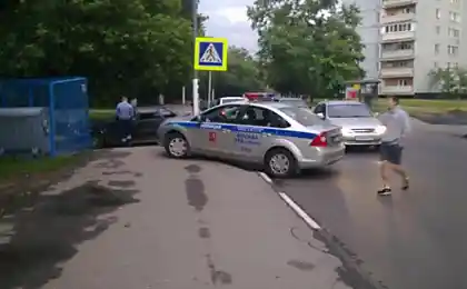 Сколько пунктов ПДД нарушено?