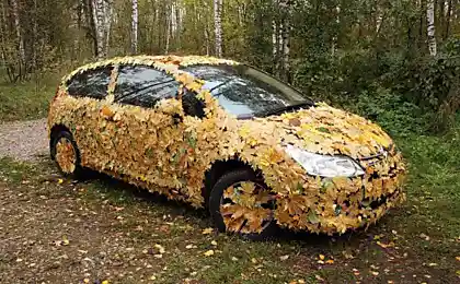 Осенний тюнинг