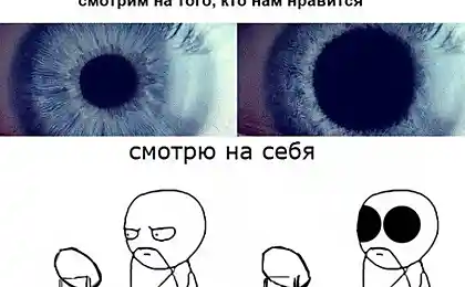 Правда как она естьXD
