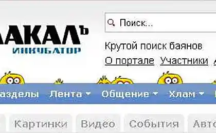 ЯП Инкубатор