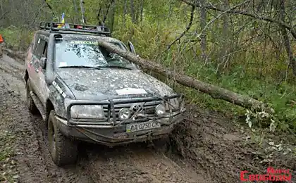 Чоловічий відпочинок.