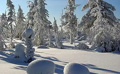 Сонце