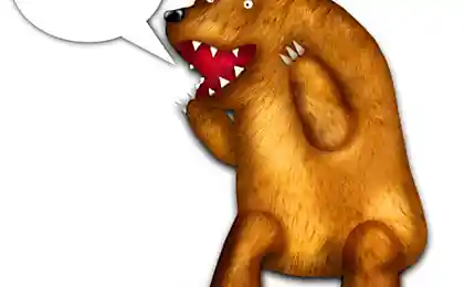 Медведь такой медведь
