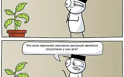 Разговор с цветком