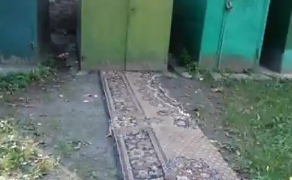 Ковровая дорожка....)))
