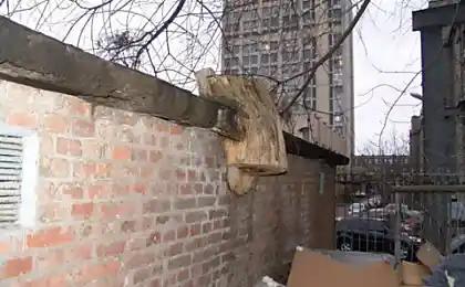 Підключення природи та цивілізації