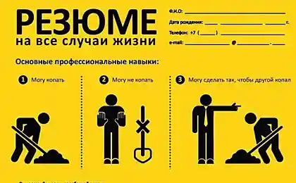 Профессиональное резюме