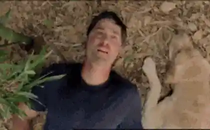 Альтернативная концовка LOST