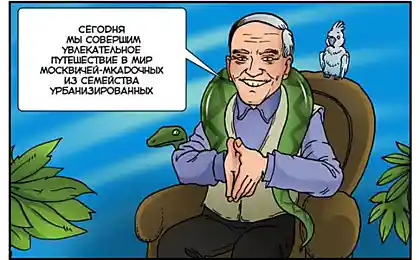 Москвич обыкновенный