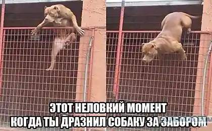 Час польоту