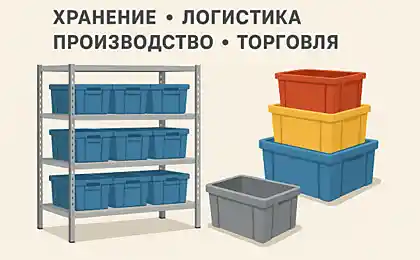 Пластиковая тара и стеллажи: основа эффективного хранения