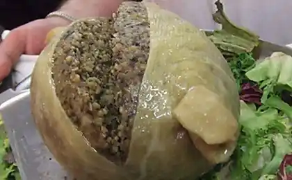 Живий італійський сир Casu Marzu (10 фото)