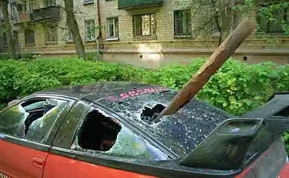 Чи Арала справді голосна?