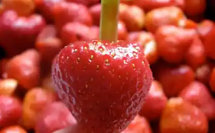 10 Продукти ви можете їсти по-різному Не буде нудно на кухні!