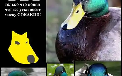 Вот это новости :D