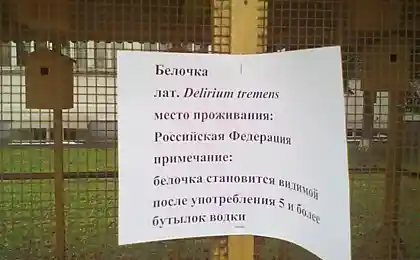 Студенческий юмор
