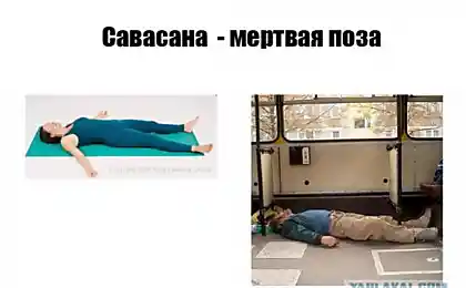 Не перевелись еще Йоги на руси