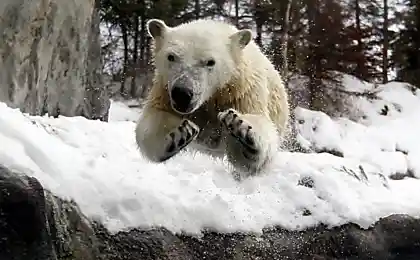 Интересно, что успел подумать фотограф?