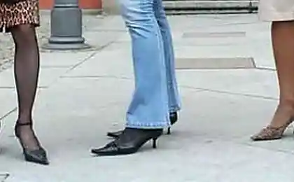 Голландские чиксы