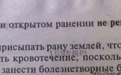 Порада з Бабця