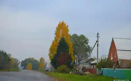 Осінь або хороший кут.
