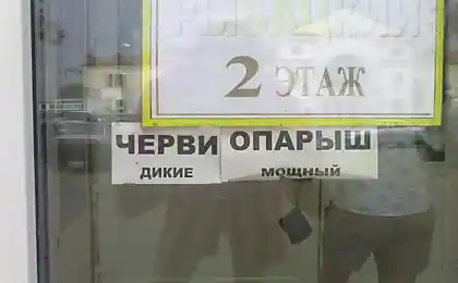 Реклама на дверях продуктового магазина