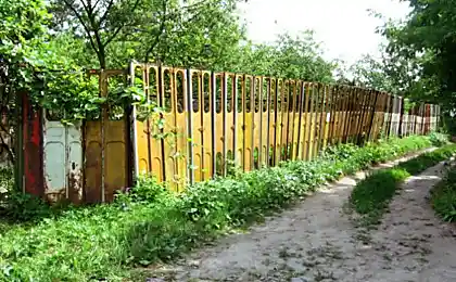 сколько Икарусов ушло на это?
