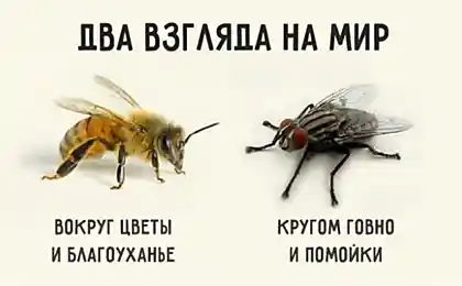Два взгляда на мир