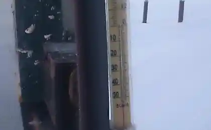 Тим часом на півночі