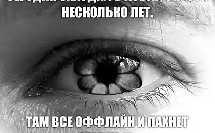Аська навчилась