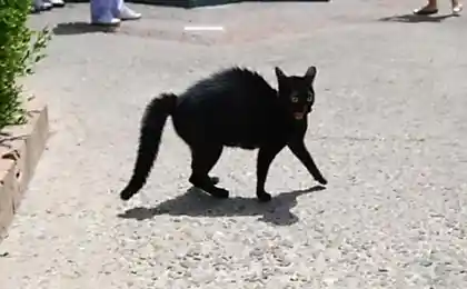 Почему?..
